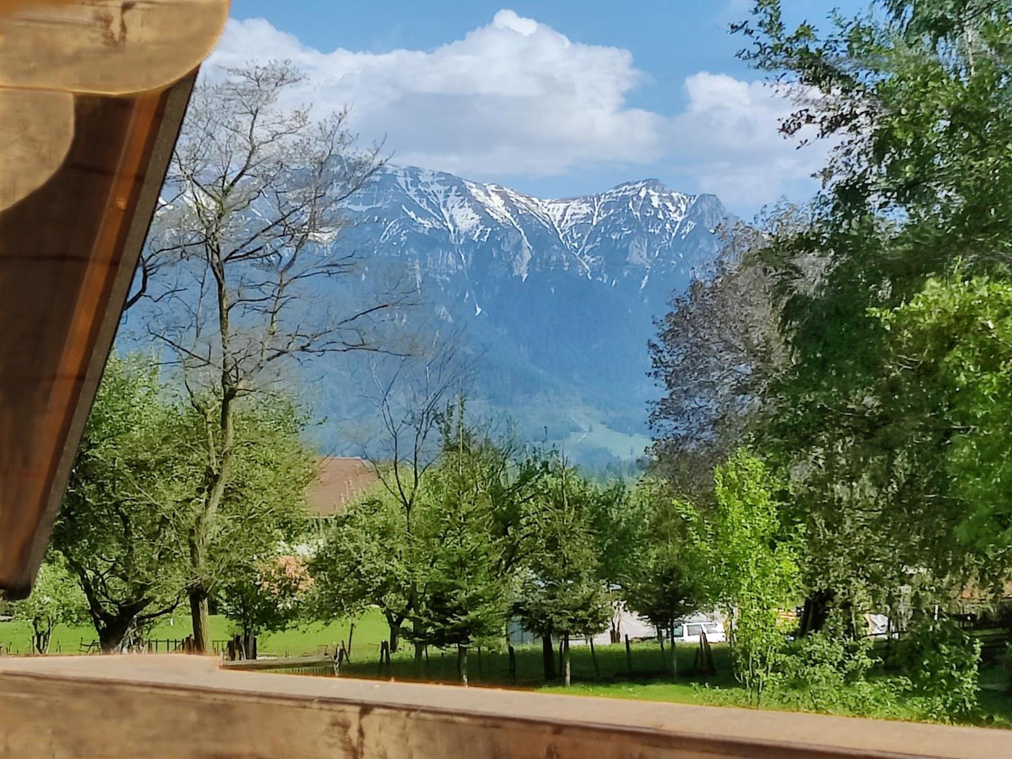 Ara Chalet Bran  Exteriör bild